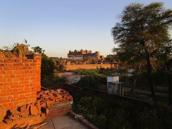 True Colors Traditional Cafe