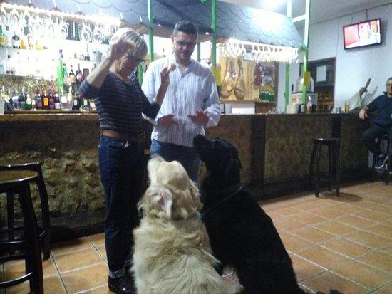 Can Patas Jamonerias