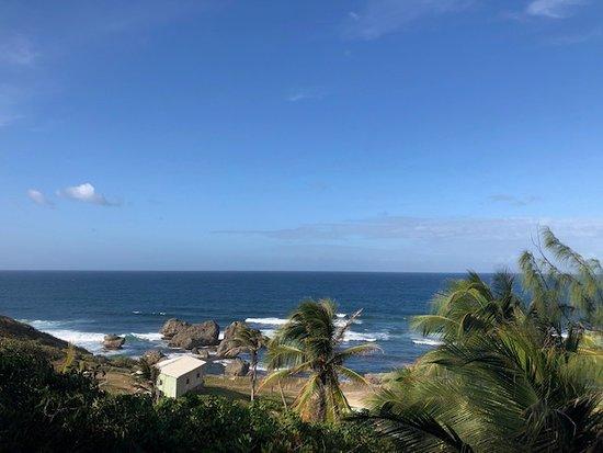 Eco Lifestyle + Lodge