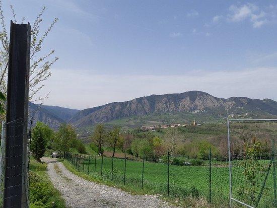 Agriturismo Foresteria La Merlina