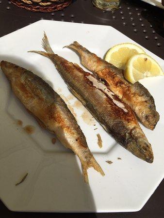 Trocki Jan. Cafe-bar