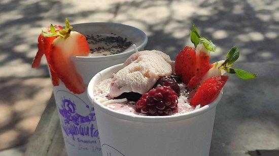 Veganautas Smoothie-Bar Lto