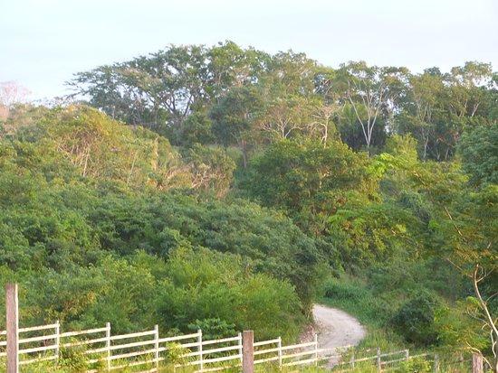 The Bluffs Restaurant and Bar