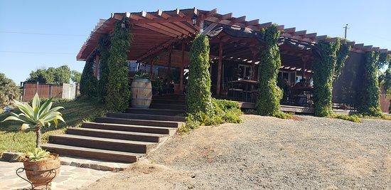 Jurassic Burger and Grill