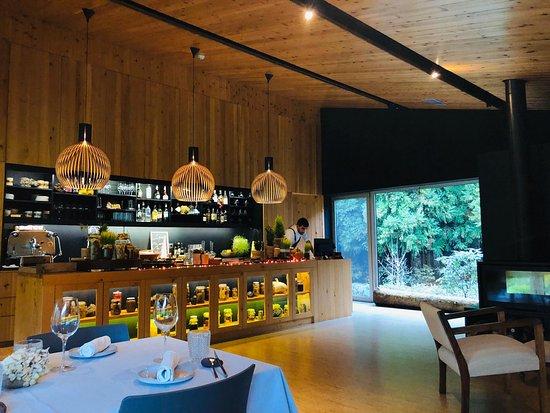 Liquen by Ljubomir Stanisic