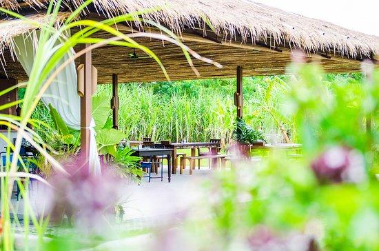 Cane Crush Restaurant & Cocktail Bar