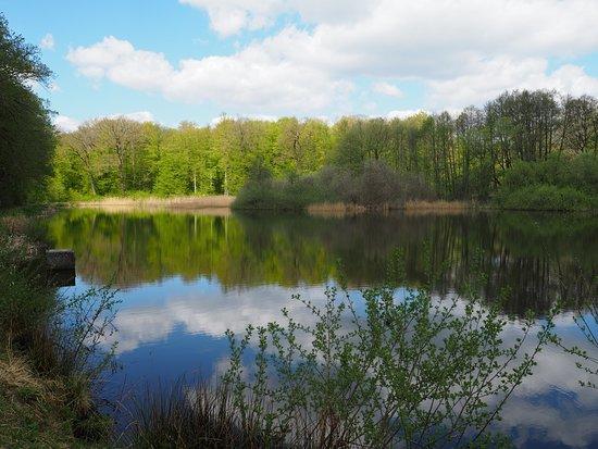 Freizeitzentrum Walkenried