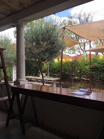 The Lovely Grapevine Coffee Shop