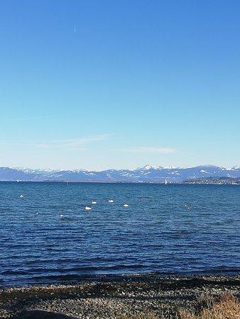 Chocolateria Kolbener