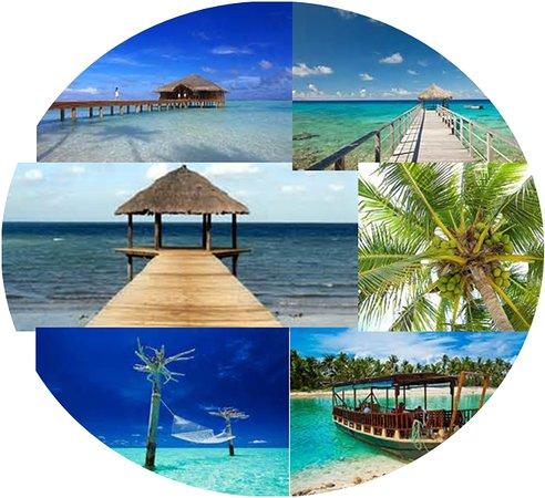 Restaurant Sous Le Manguier