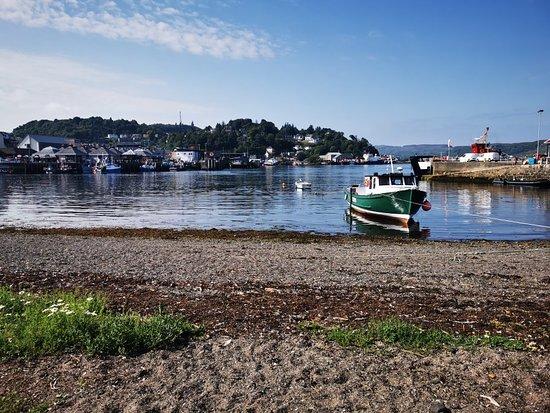 Hinba Coffee Roasters