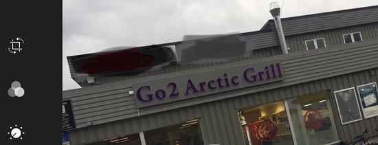 Go2 Arctic Grill