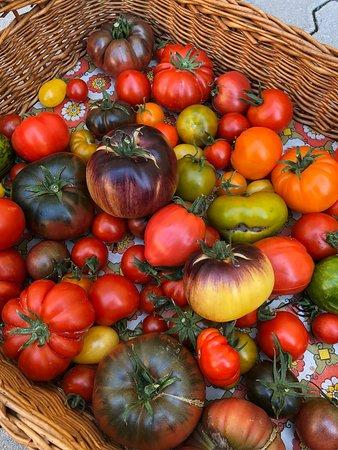 Griechisches Restaurant Bei Nikos