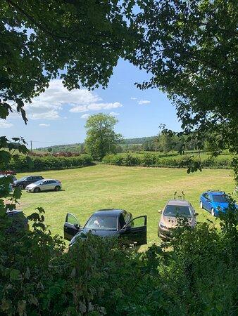 Blueberry Kiosk At Mapleton
