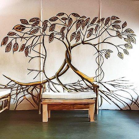 The Wishing Tree Organic Shop