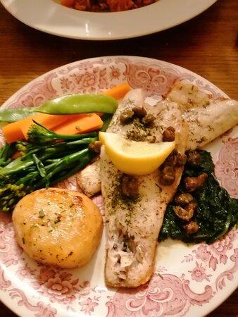 Cygnets At The Dalesman