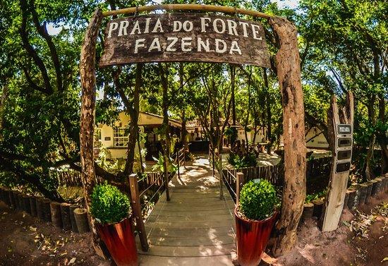 7 Express Gastronomia