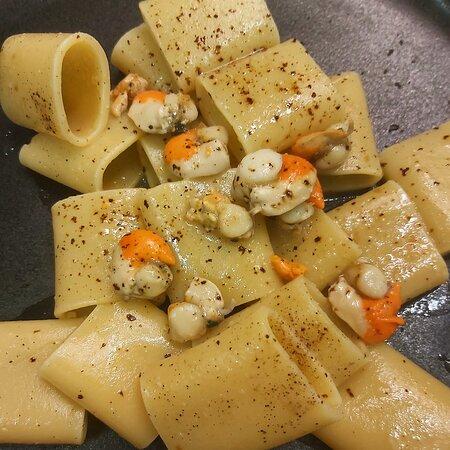 Gente Di Mare Chioggia