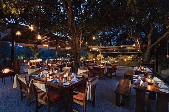 Under The Jamun Tree