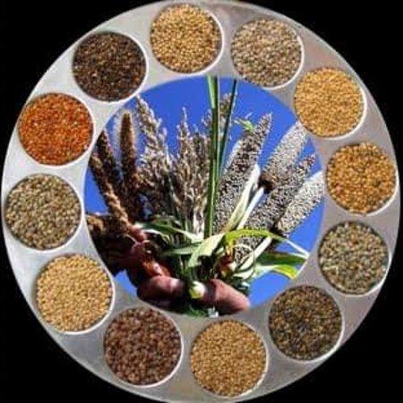 TastyLeaf Millets Foodcourt