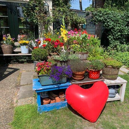 High Tea Restaurant Theetuin Nijeholtpade