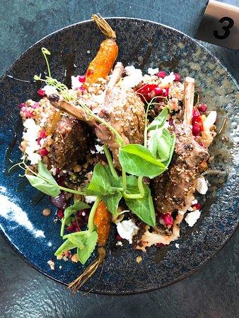 Professor and the Pigeon