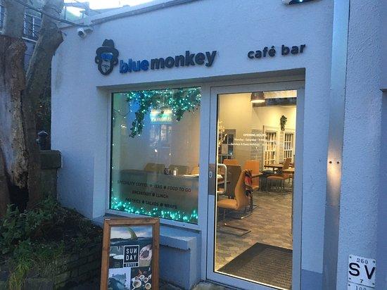 Blue Monkey