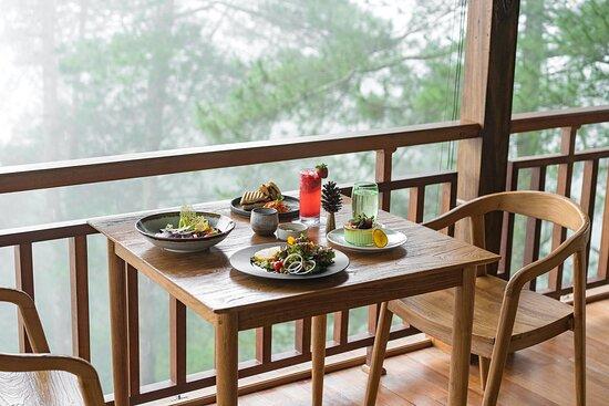 Tree Top Restaurant & Piano Bar