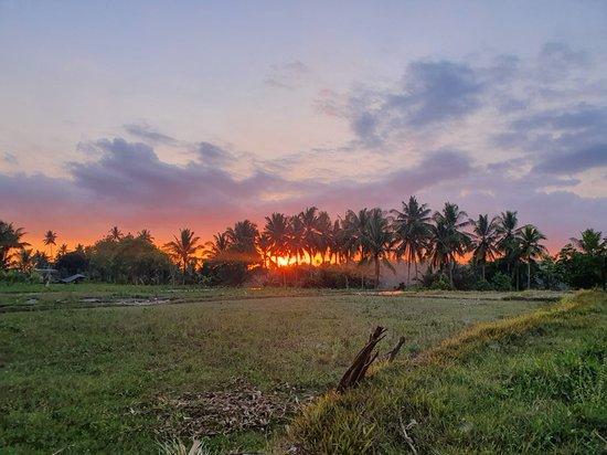 Sunset Cafe & Bungalow