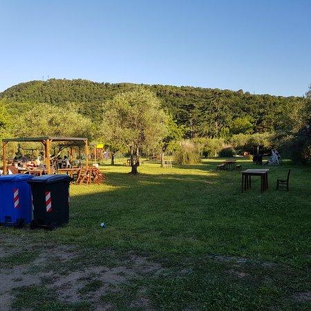 Gastronomia Pollicino