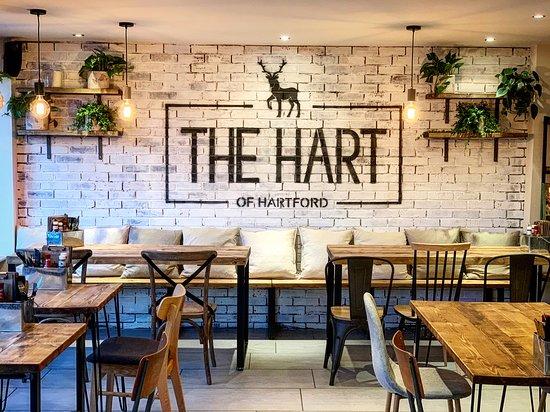 The Hart Of Hartford