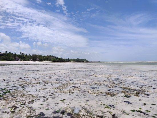 Gabi Beach Restaurant