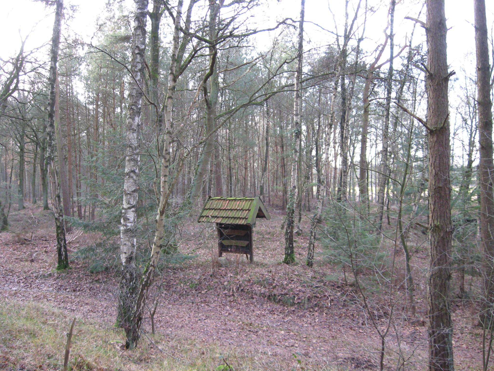 Großsteingräber bei Bramsche-Wesel