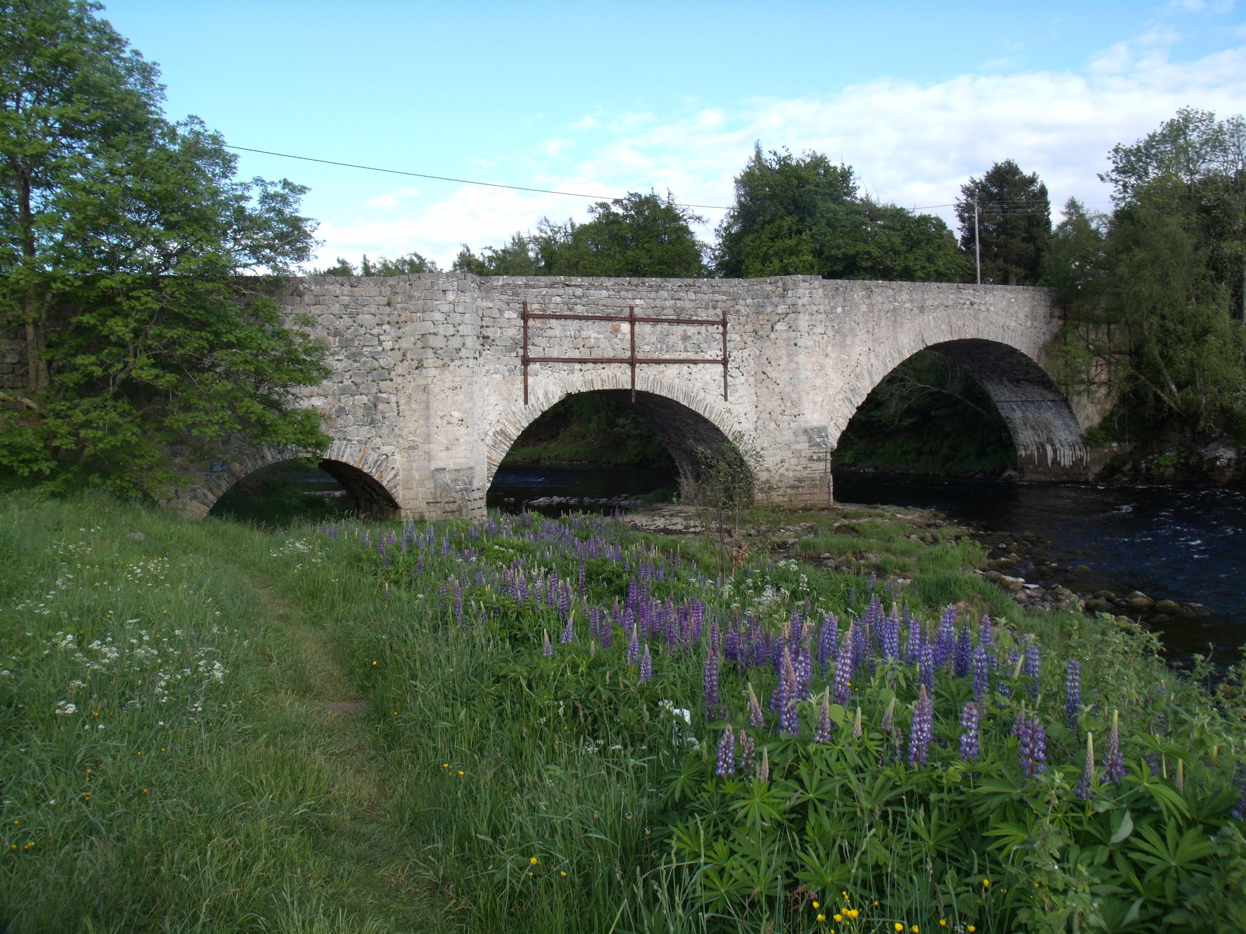 Old Spey Bridge
