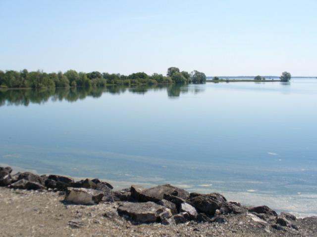Lac du Der-Chantecoq