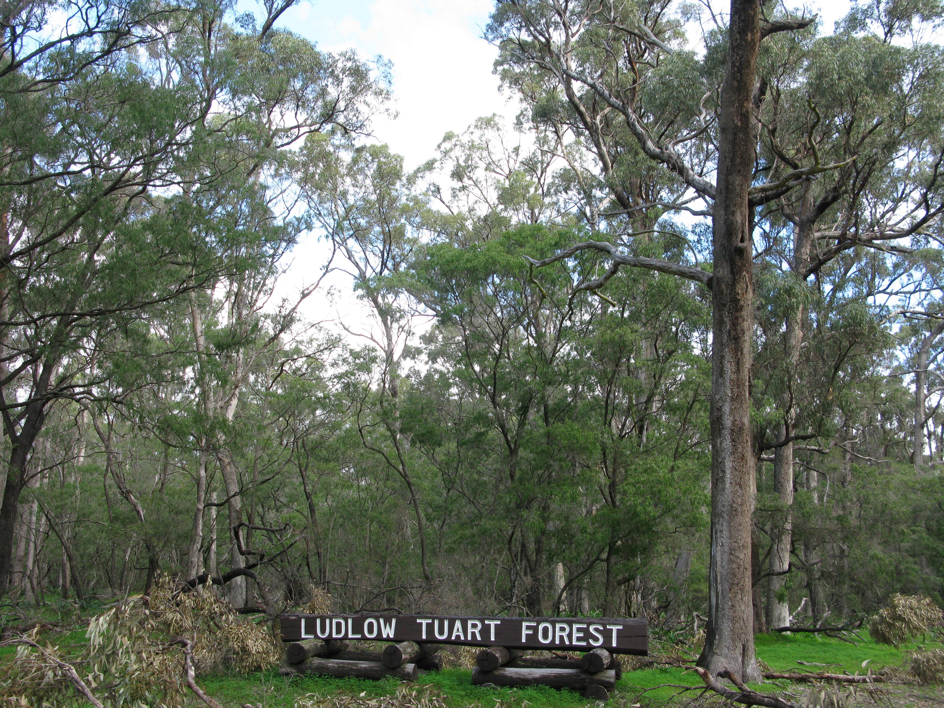 Tuart Forest National Park