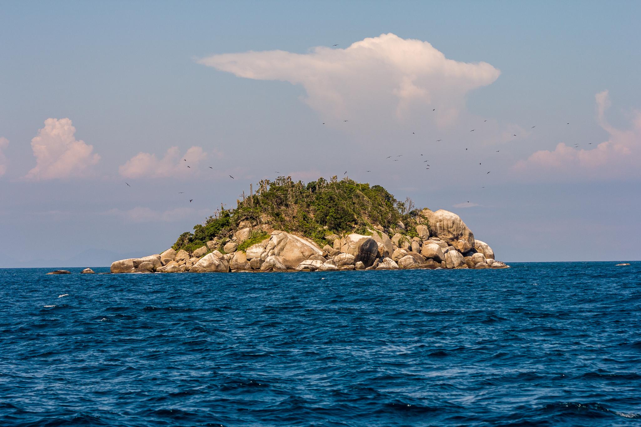 Área de Proteção Ambiental de Cairuçu