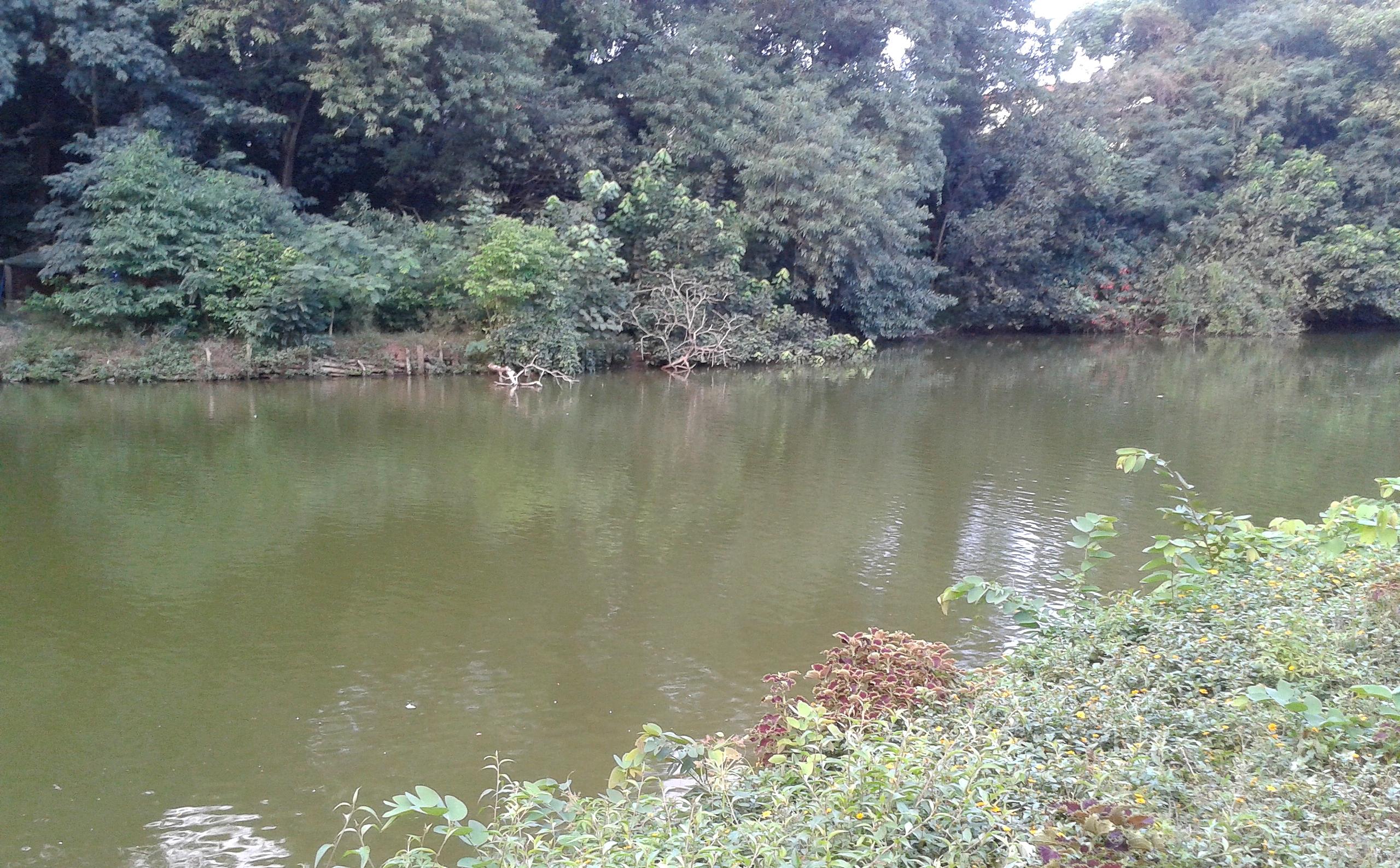 Parque Vila dos Remédios