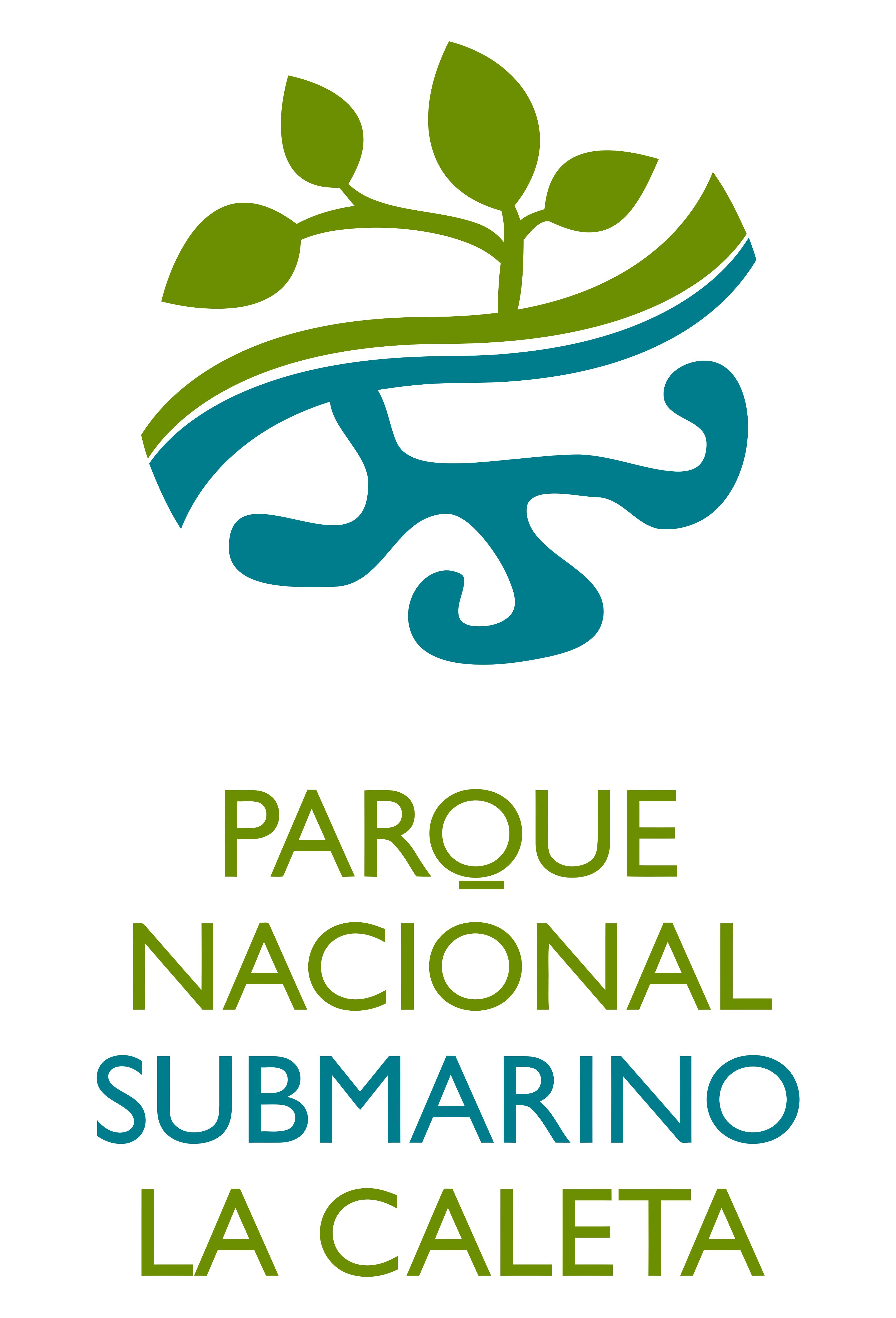 Parque nacional submarino La Caleta