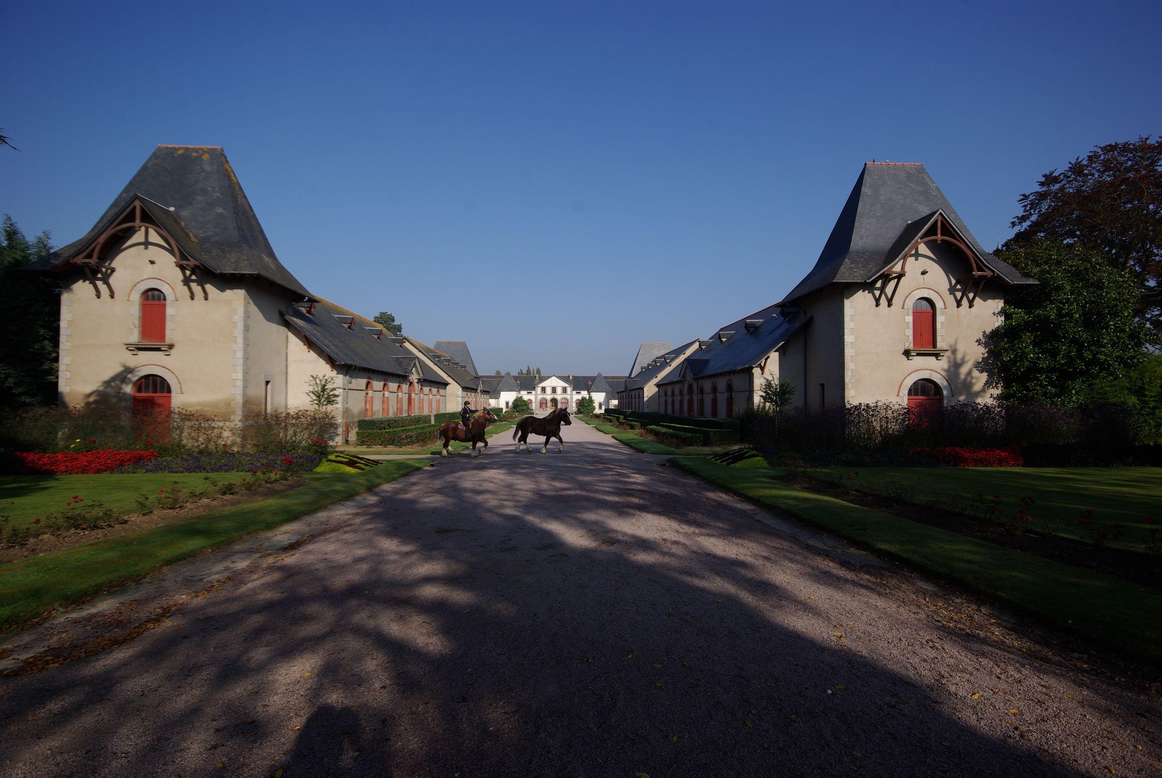 Haras national de Lamballe