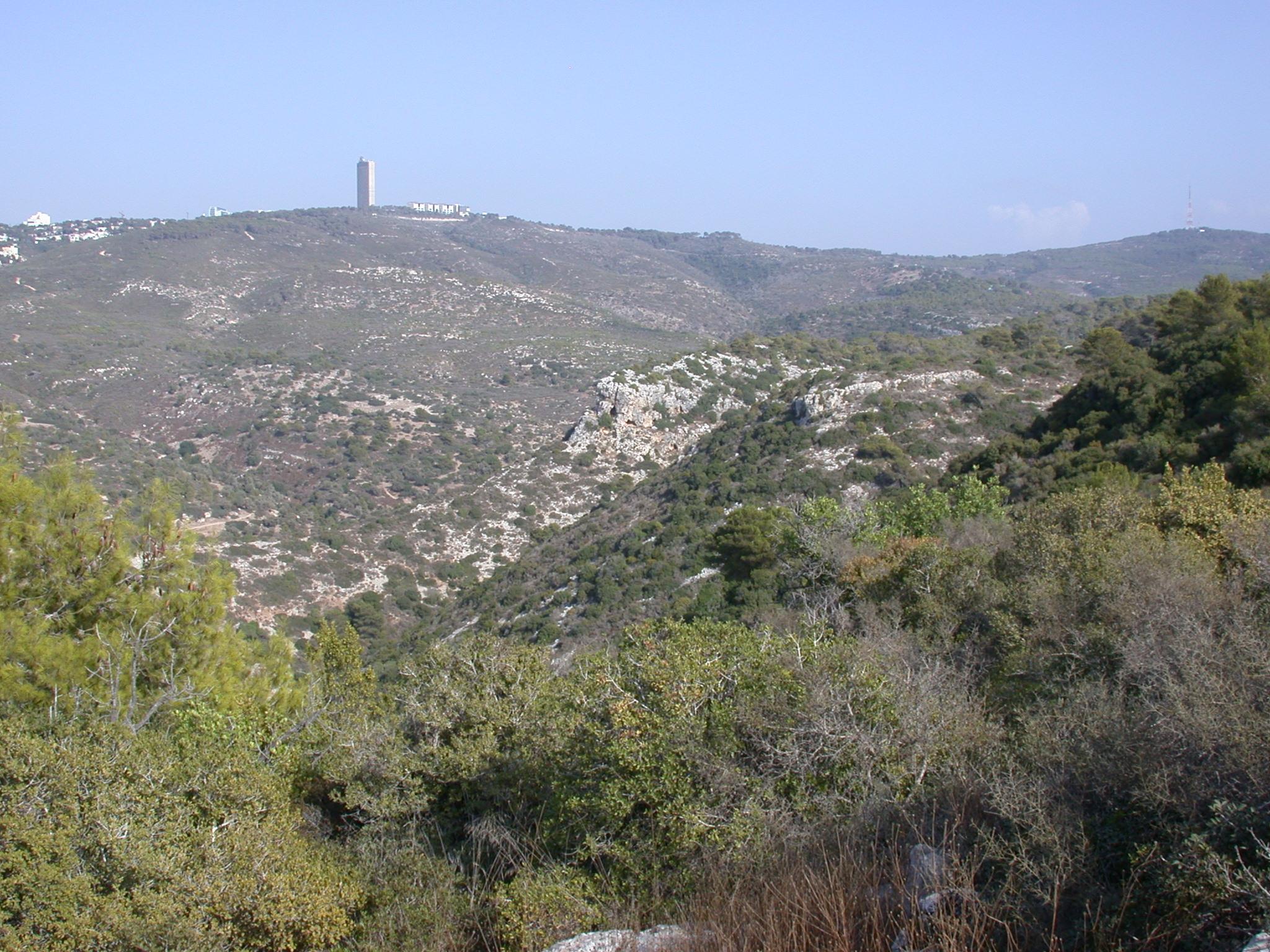 Nahal Galim