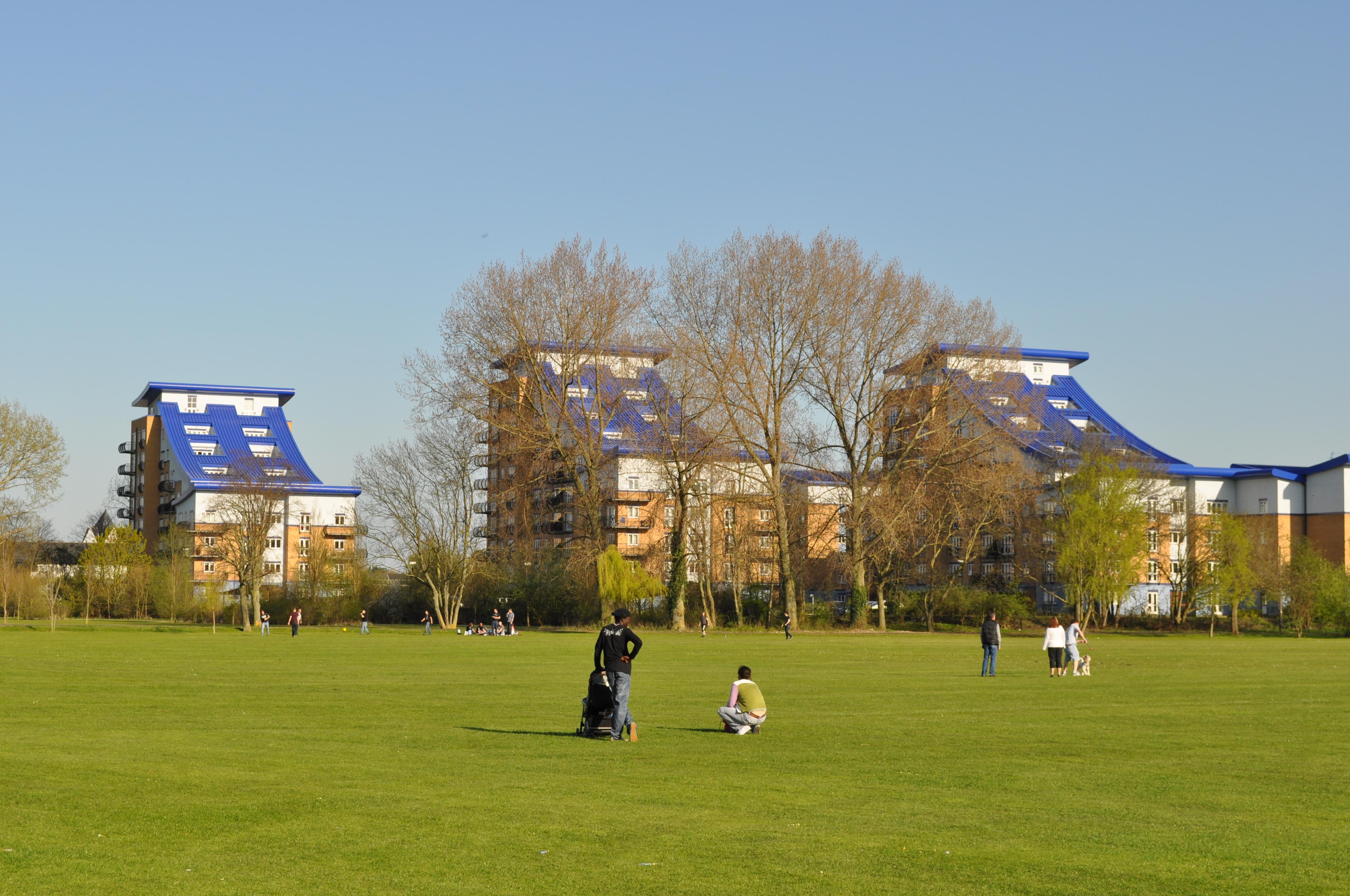 King's Meadow