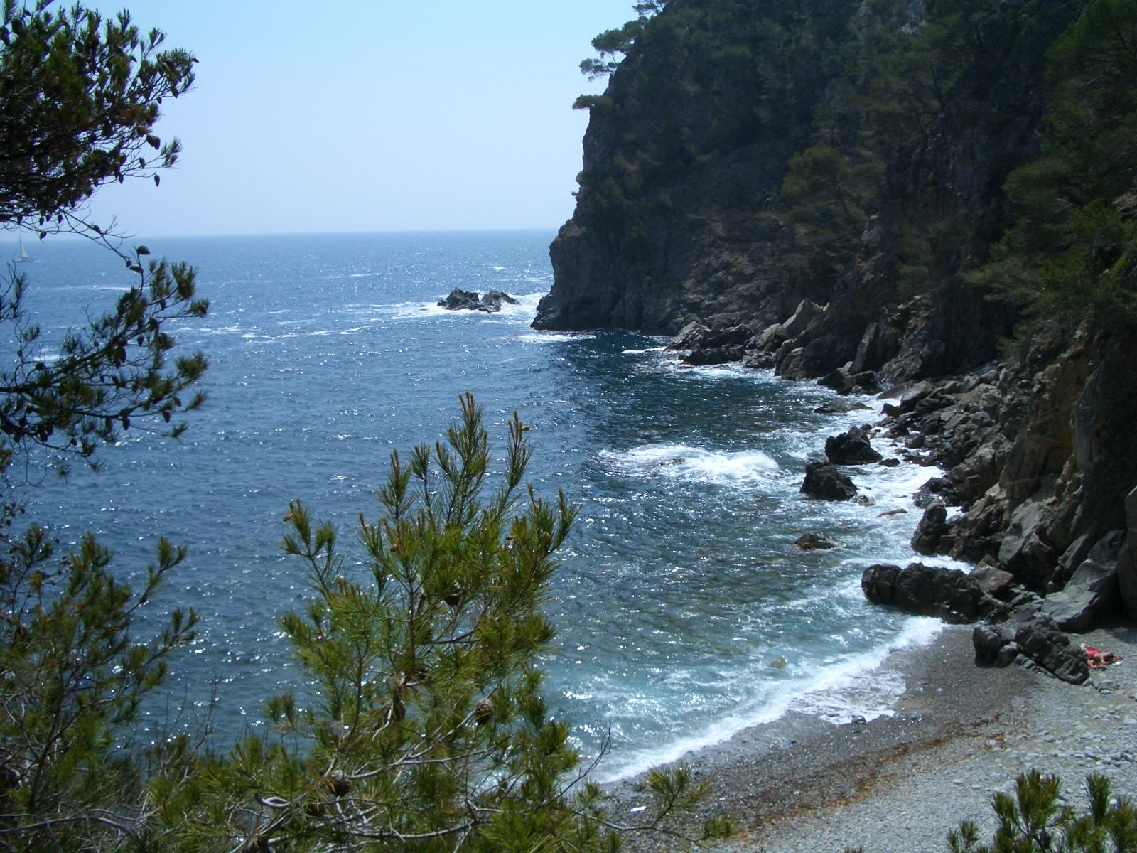 Cala Pedrosa