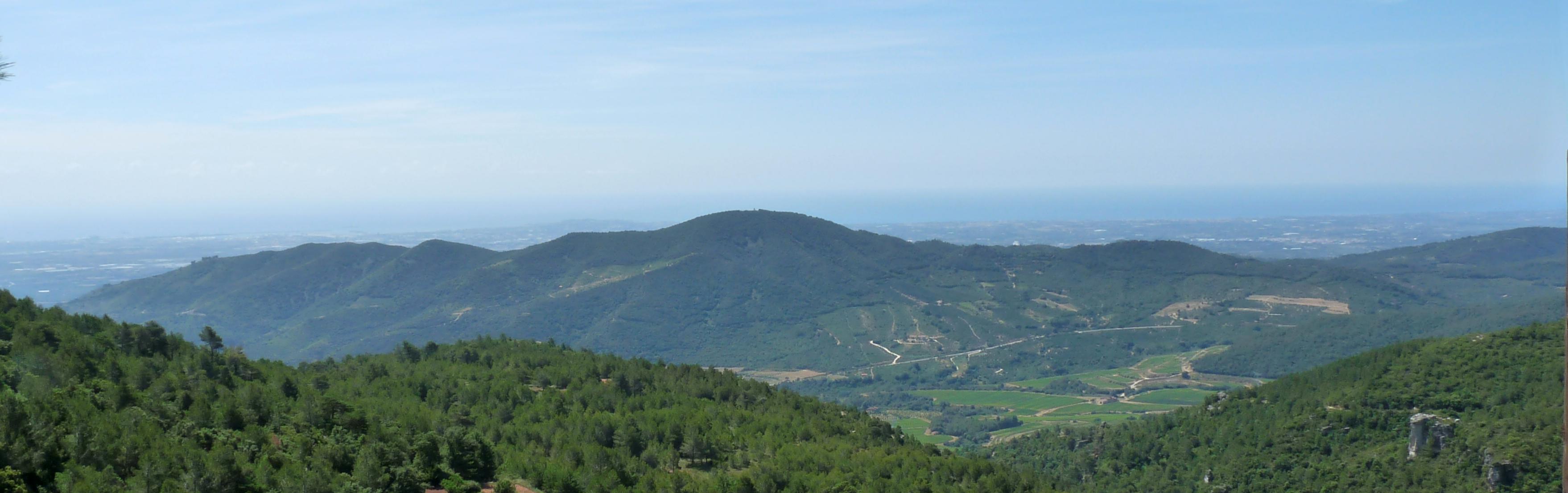 Puig d'en Cama