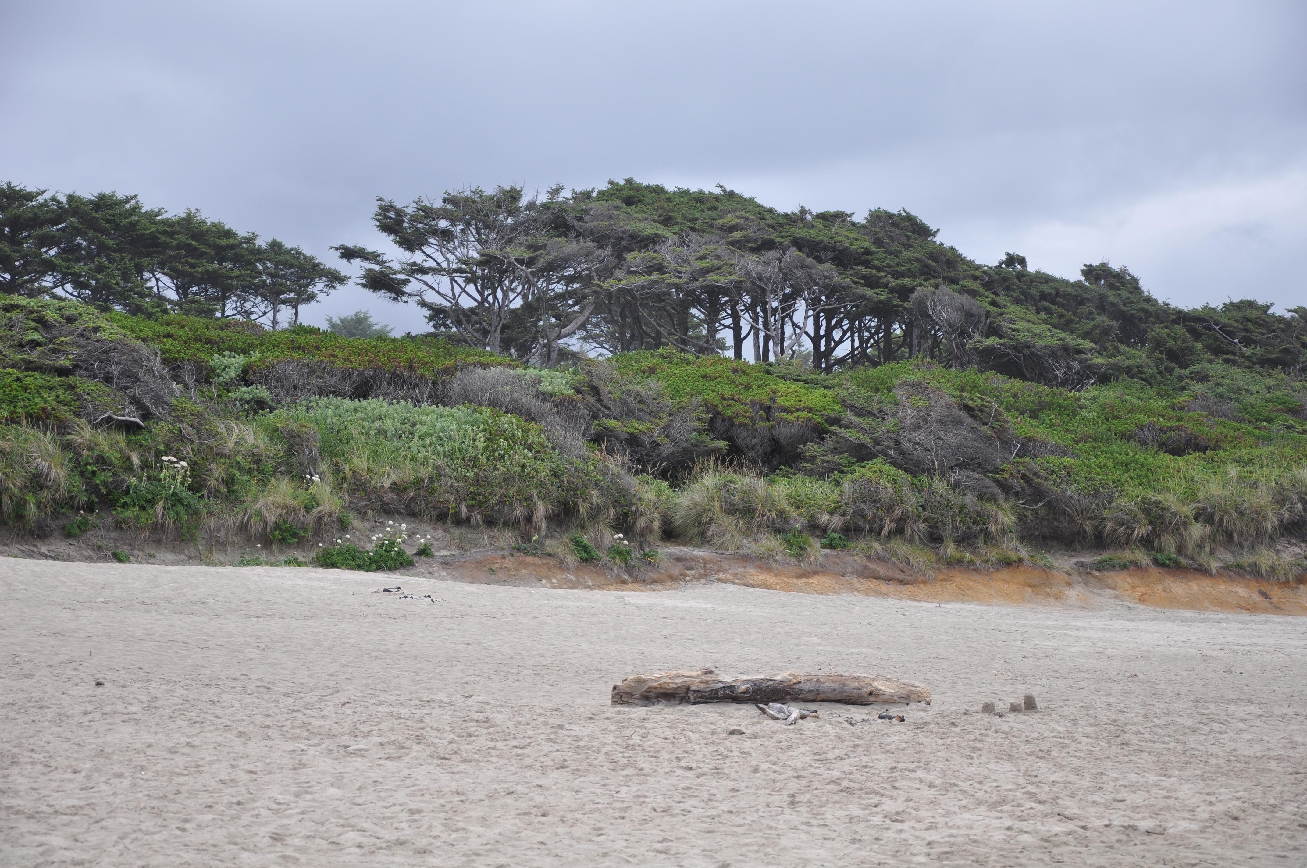 Beachside State Recreation Site