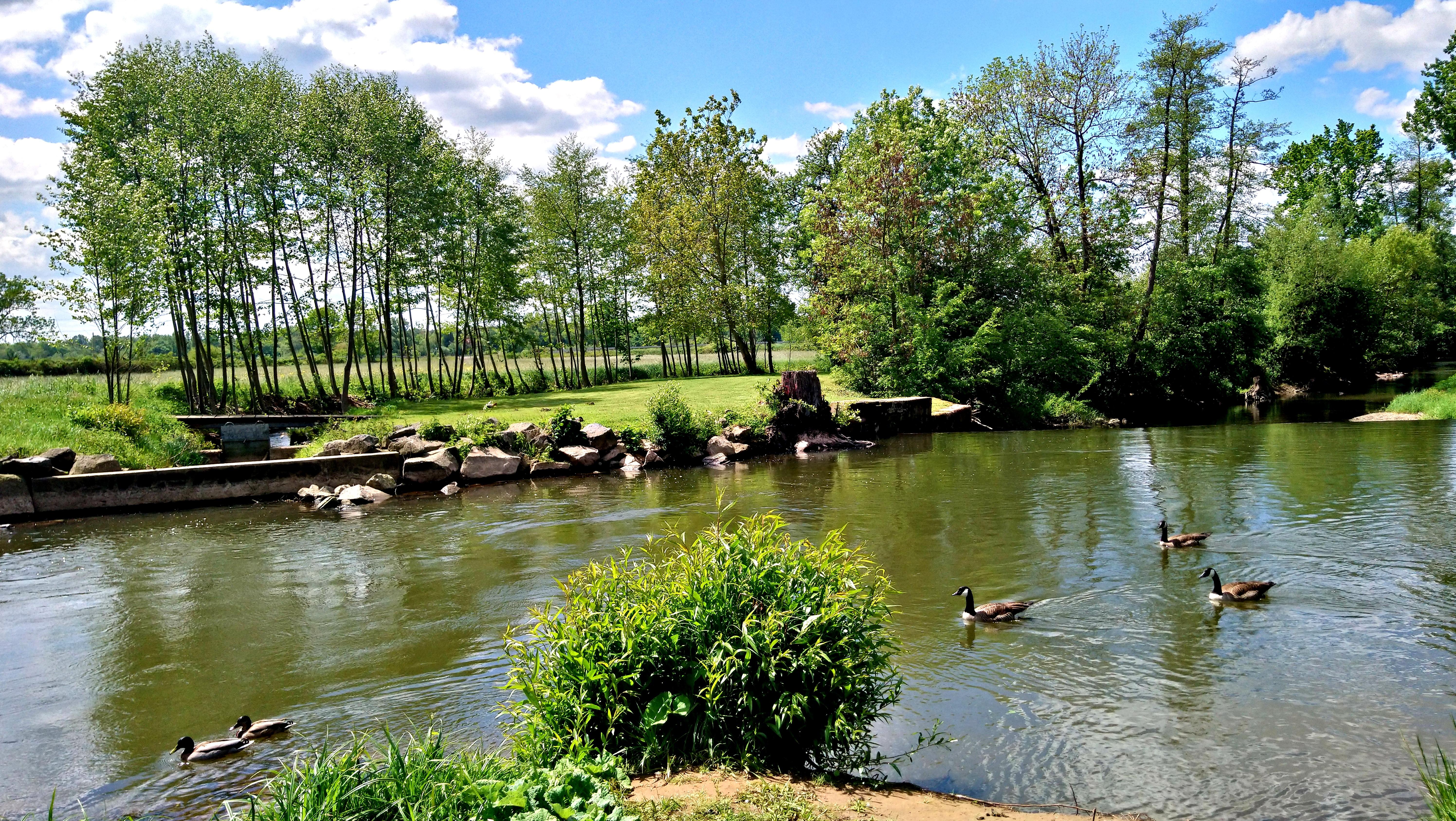 Weideswiesen-Oberwald bei Erlensee