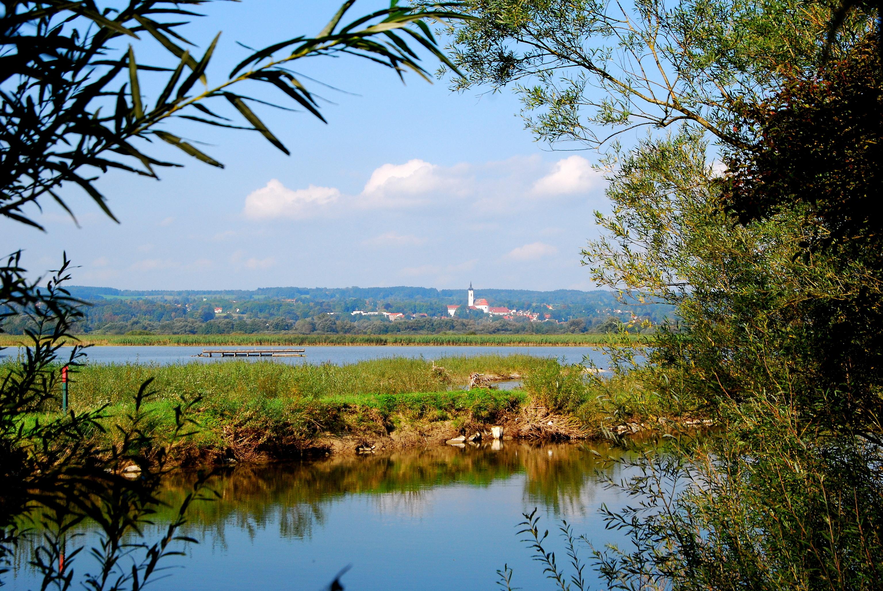 Vogelfreistatte Ammersee-Sudufer