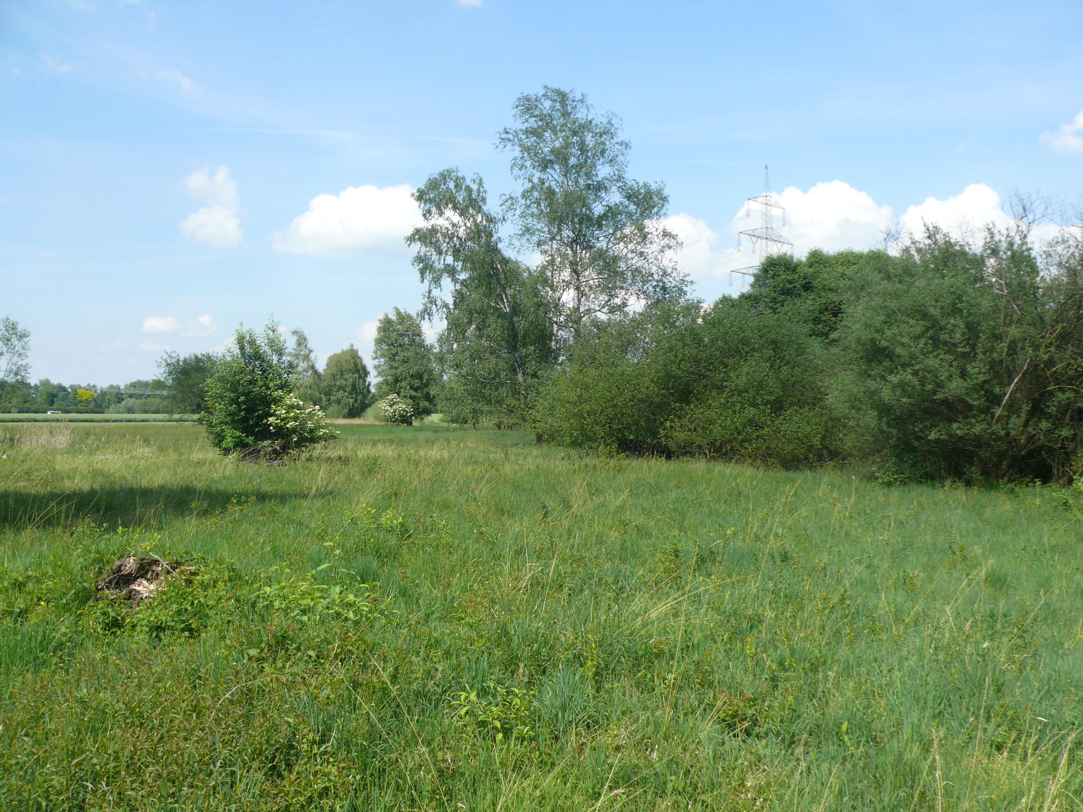 Gfällach