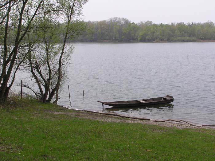 Fermasee