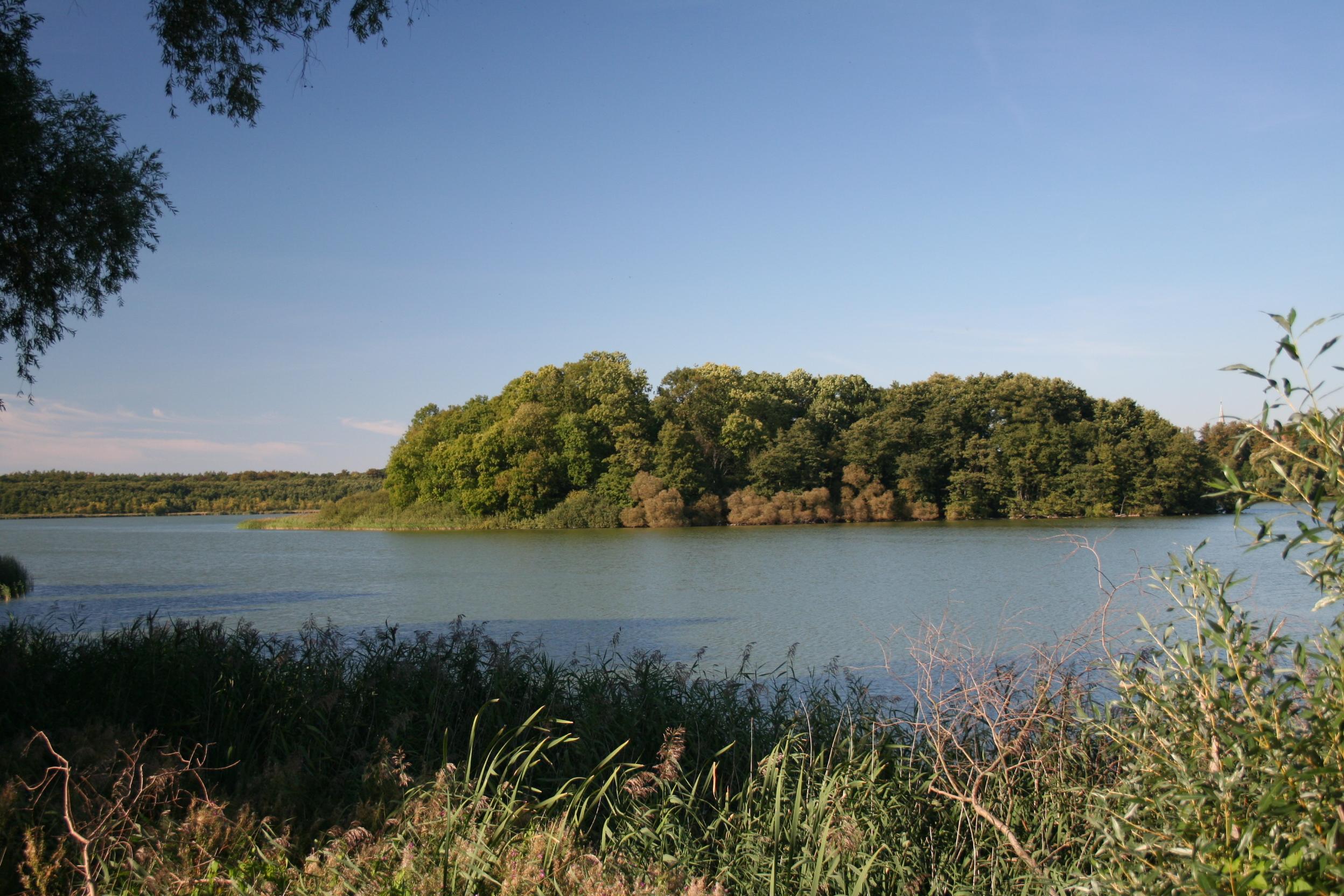 Ivenacker Tiergarten